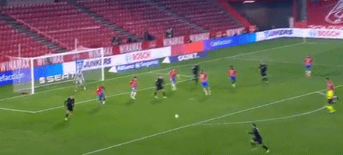 张伯霖谈摇篮舞庆祝：是庆祝我家两只小狗出生